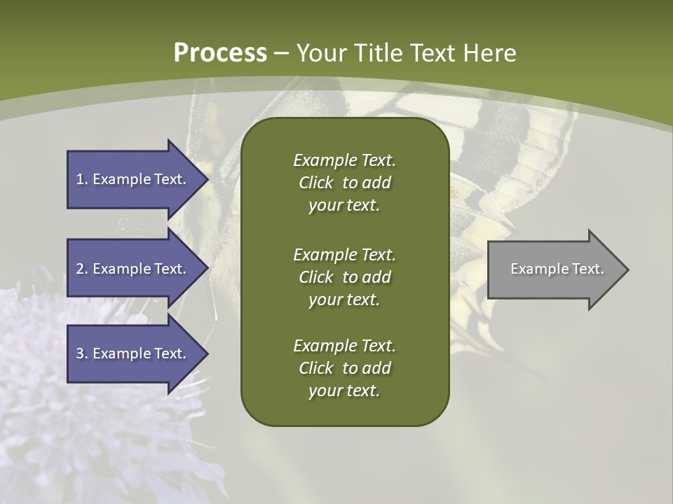 Papilio Machaon, Swallowtail, Papilionidae, PowerPoint Template