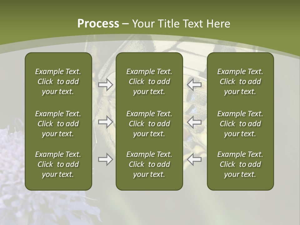 Papilio Machaon, Swallowtail, Papilionidae, PowerPoint Template