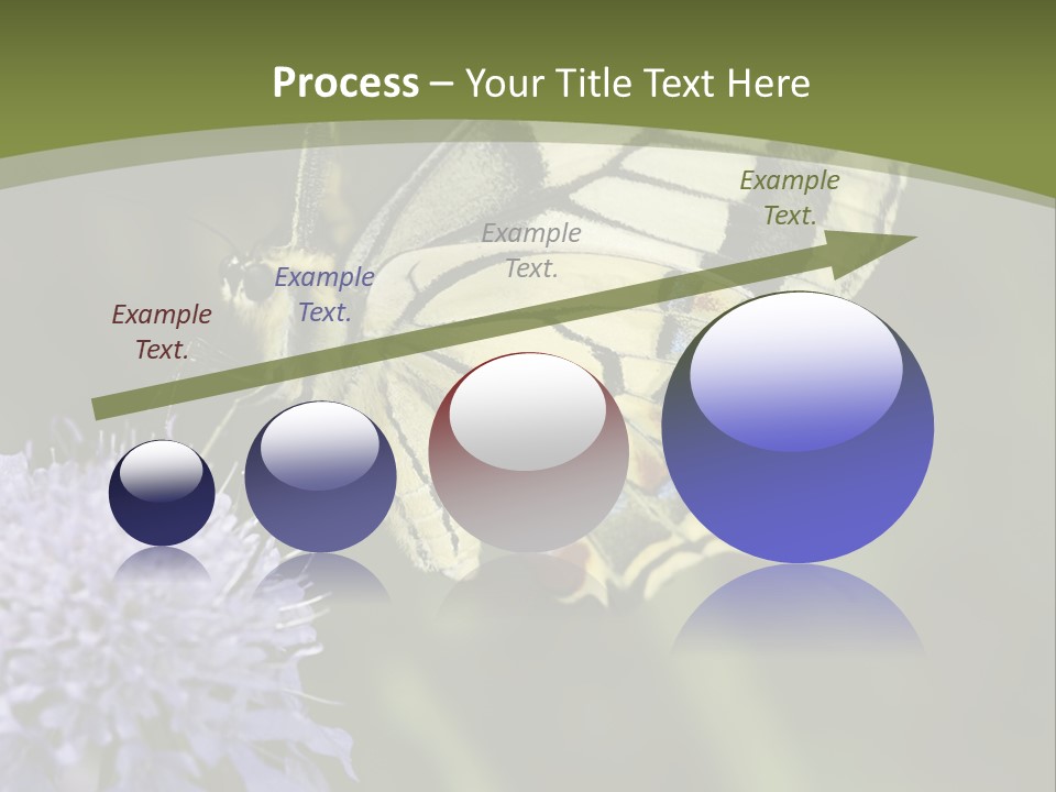 Papilio Machaon, Swallowtail, Papilionidae, PowerPoint Template