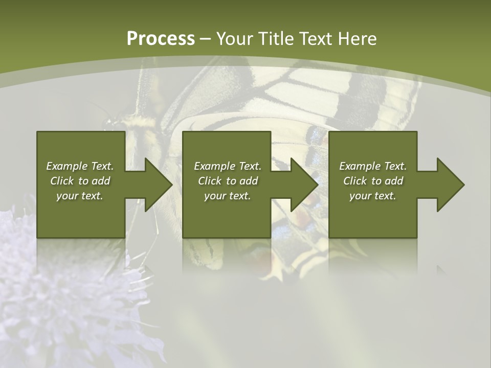 Papilio Machaon, Swallowtail, Papilionidae, PowerPoint Template