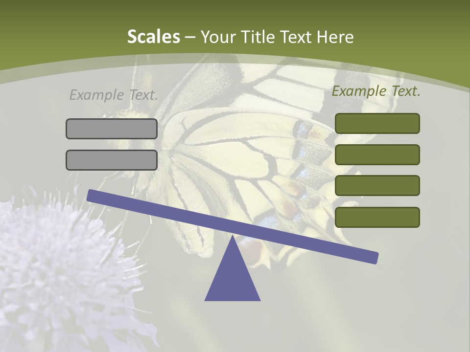 Papilio Machaon, Swallowtail, Papilionidae, PowerPoint Template