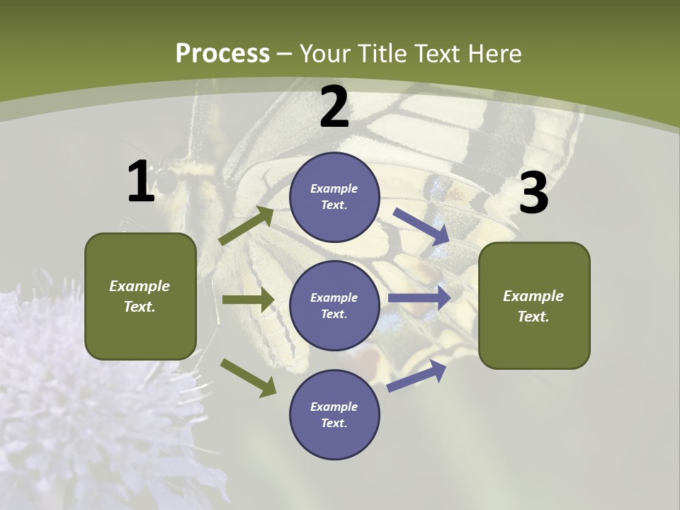 Papilio Machaon, Swallowtail, Papilionidae, PowerPoint Template