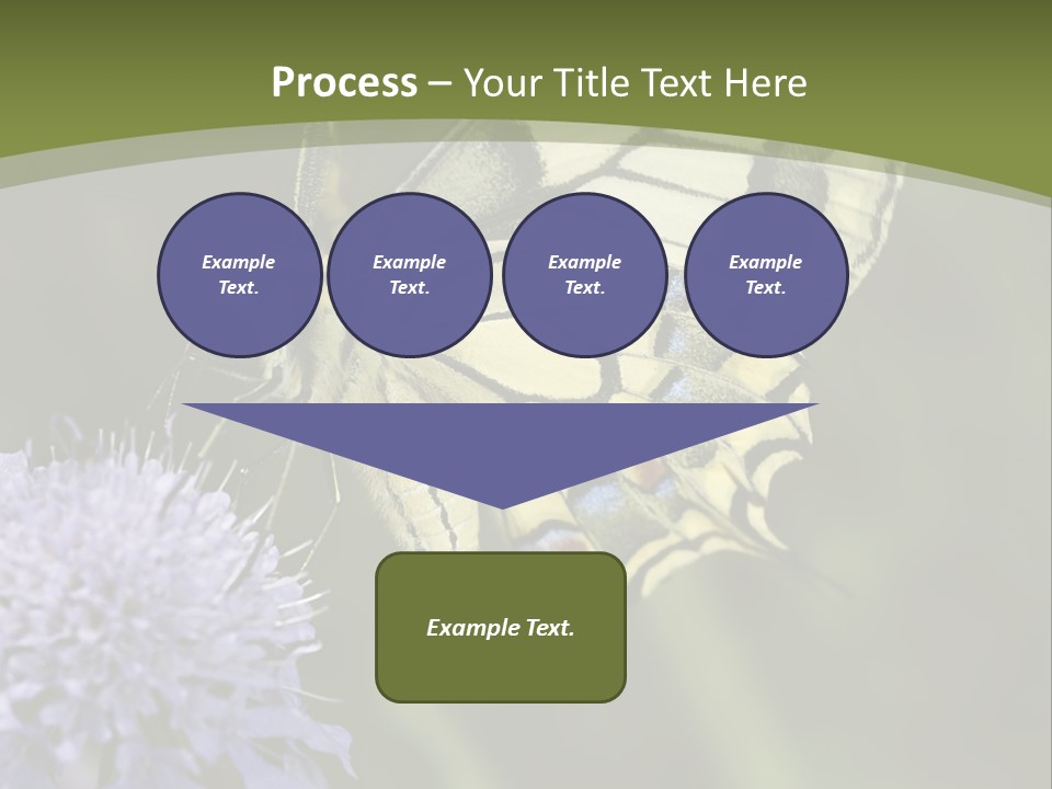 Papilio Machaon, Swallowtail, Papilionidae, PowerPoint Template