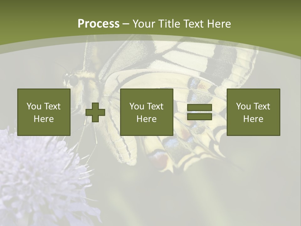 Papilio Machaon, Swallowtail, Papilionidae, PowerPoint Template