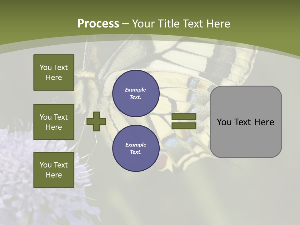 Papilio Machaon, Swallowtail, Papilionidae, PowerPoint Template