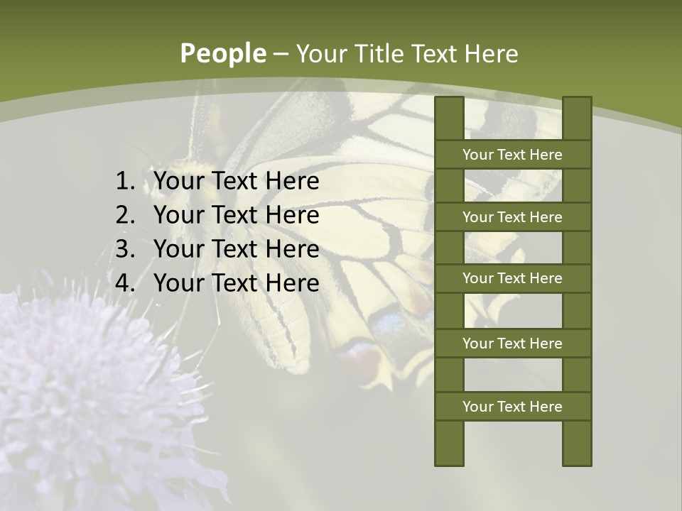 Papilio Machaon, Swallowtail, Papilionidae, PowerPoint Template