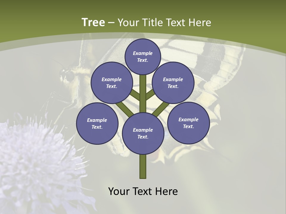 Papilio Machaon, Swallowtail, Papilionidae, PowerPoint Template