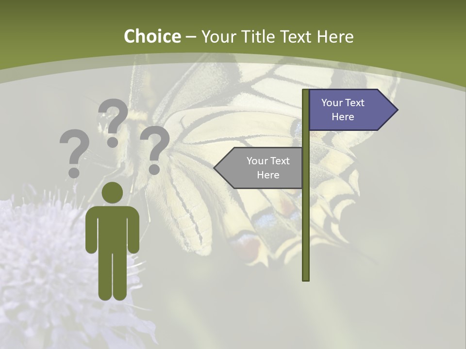 Papilio Machaon, Swallowtail, Papilionidae, PowerPoint Template