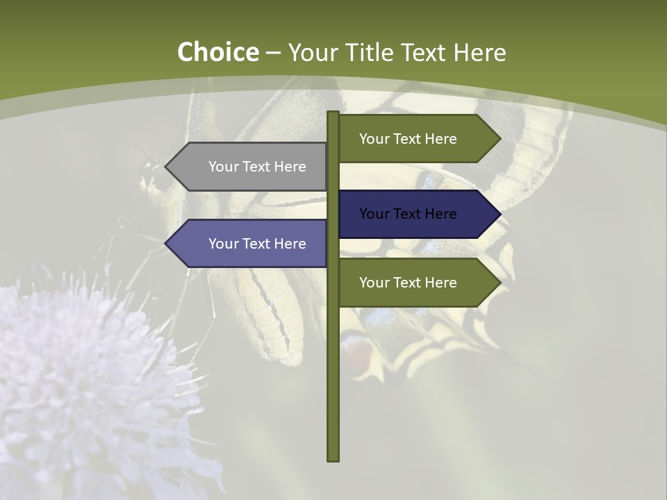 Papilio Machaon, Swallowtail, Papilionidae, PowerPoint Template