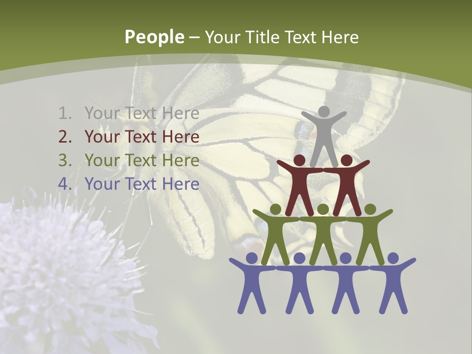 Papilio Machaon, Swallowtail, Papilionidae, PowerPoint Template