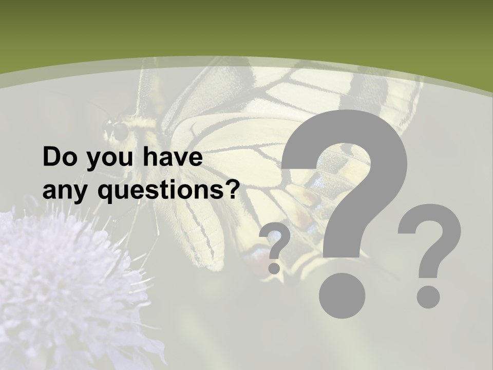 Papilio Machaon, Swallowtail, Papilionidae, PowerPoint Template