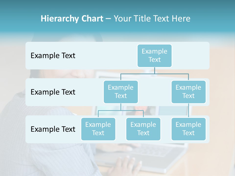 Business Woman Working On Laptop PowerPoint Template