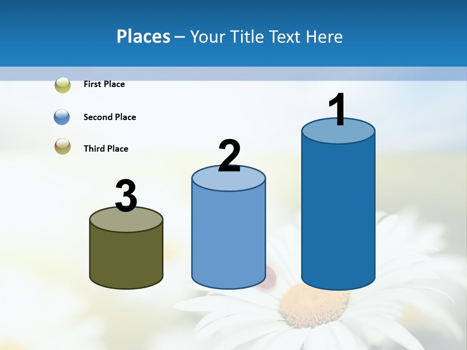 Daisy Field PowerPoint Template