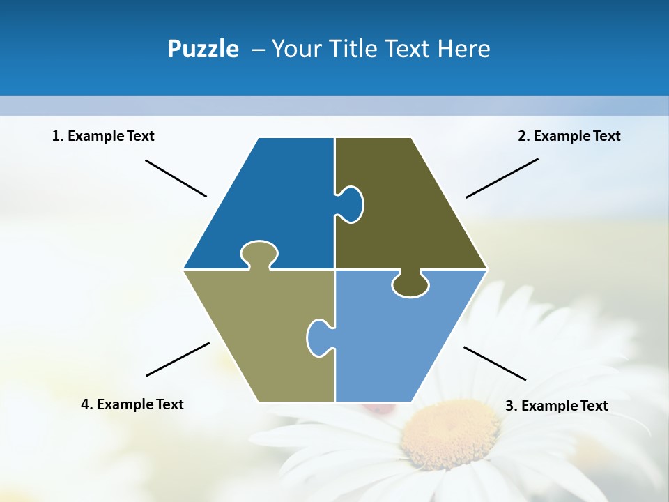 Daisy Field PowerPoint Template