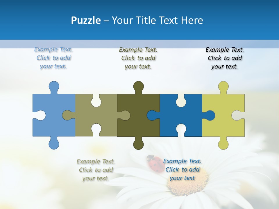 Daisy Field PowerPoint Template