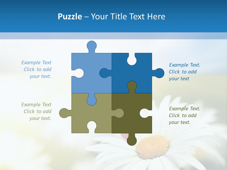 Daisy Field PowerPoint Template