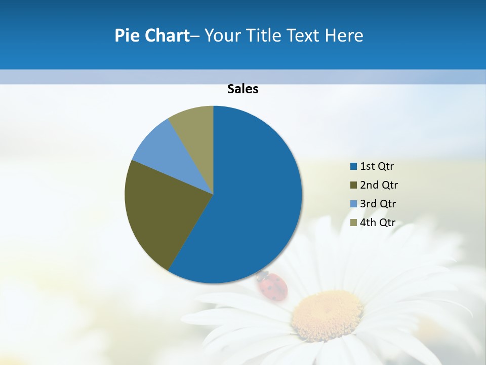 Daisy Field PowerPoint Template
