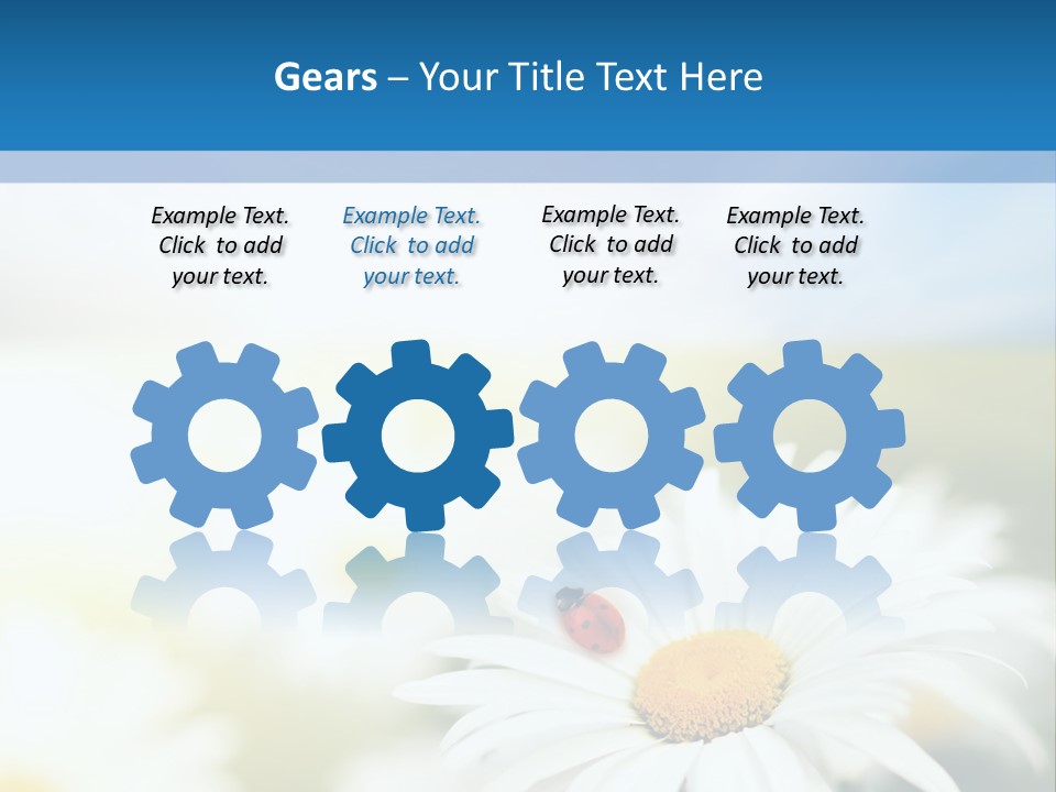 Daisy Field PowerPoint Template