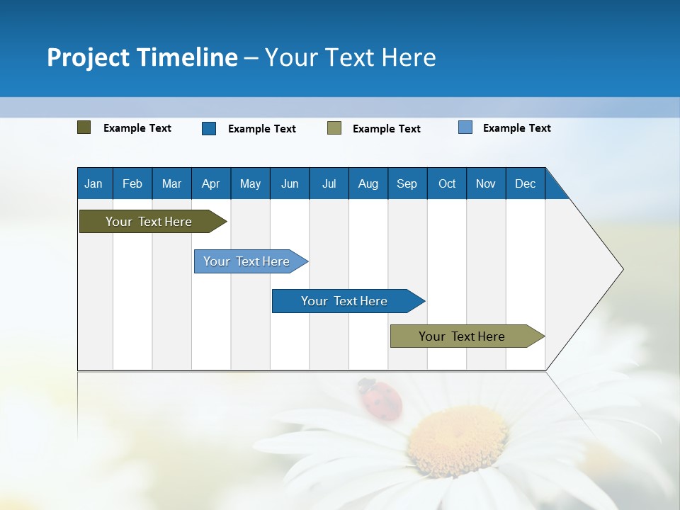 Daisy Field PowerPoint Template