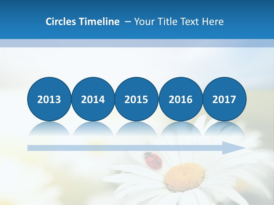 Daisy Field PowerPoint Template