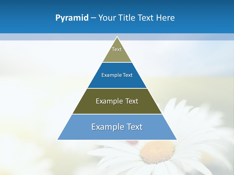 Daisy Field PowerPoint Template