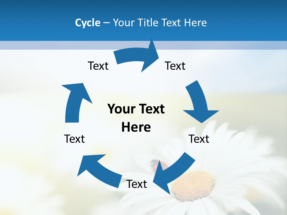 Daisy Field PowerPoint Template