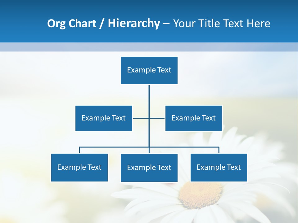 Daisy Field PowerPoint Template