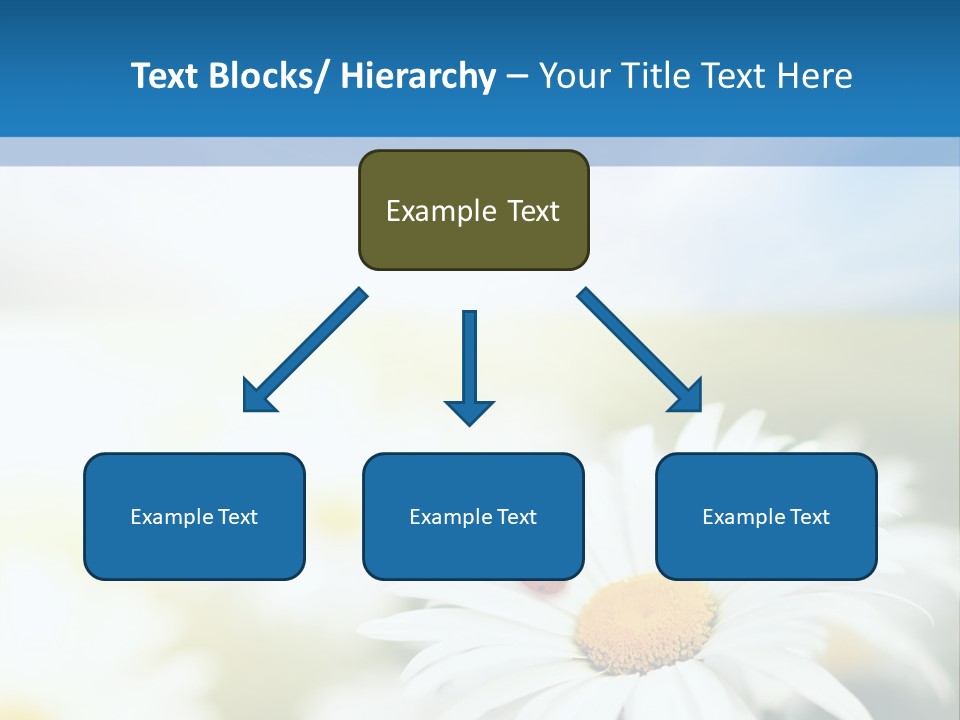 Daisy Field PowerPoint Template