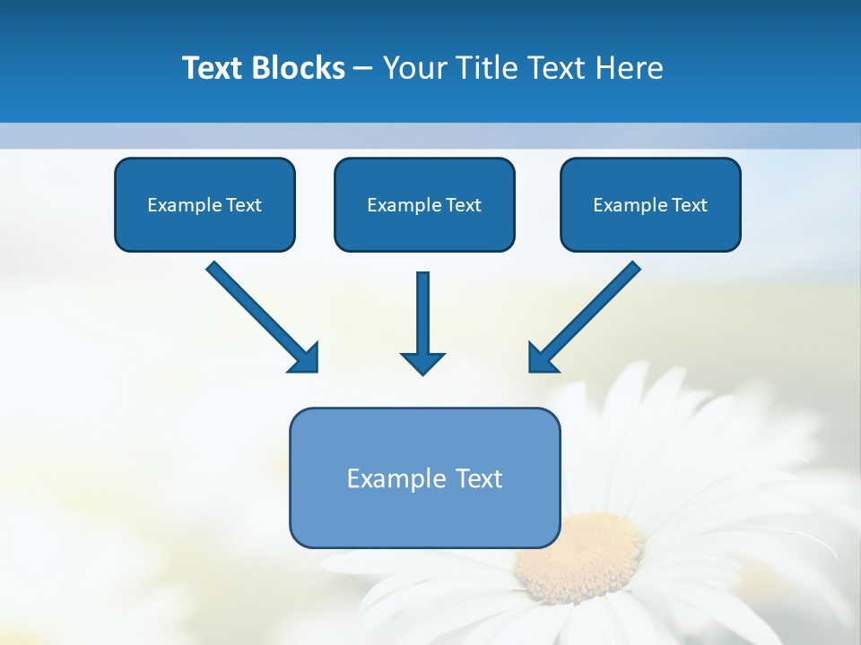 Daisy Field PowerPoint Template