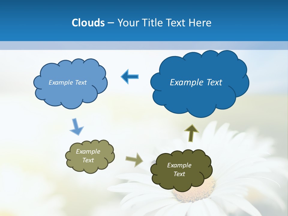 Daisy Field PowerPoint Template