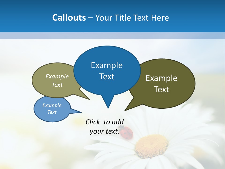 Daisy Field PowerPoint Template