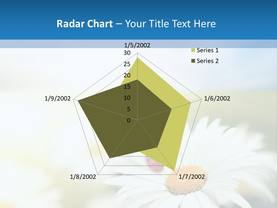 Daisy Field PowerPoint Template
