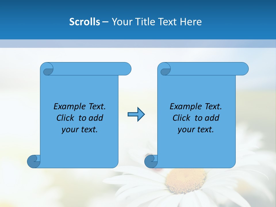 Daisy Field PowerPoint Template