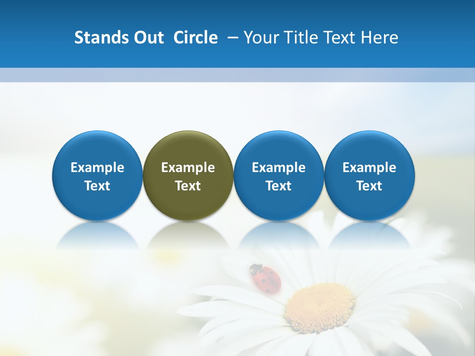 Daisy Field PowerPoint Template