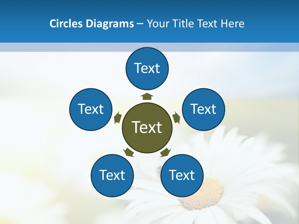 Daisy Field PowerPoint Template