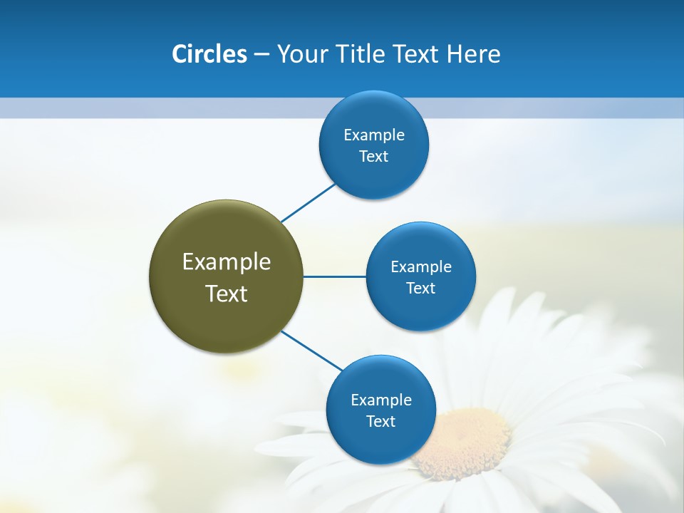 Daisy Field PowerPoint Template