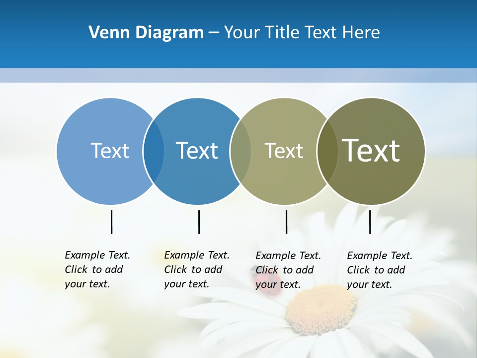 Daisy Field PowerPoint Template