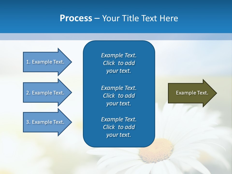 Daisy Field PowerPoint Template