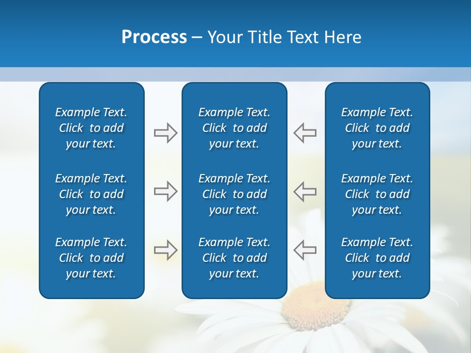 Daisy Field PowerPoint Template