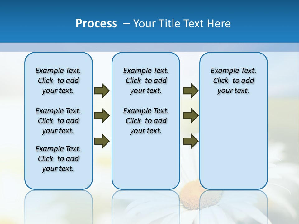 Daisy Field PowerPoint Template