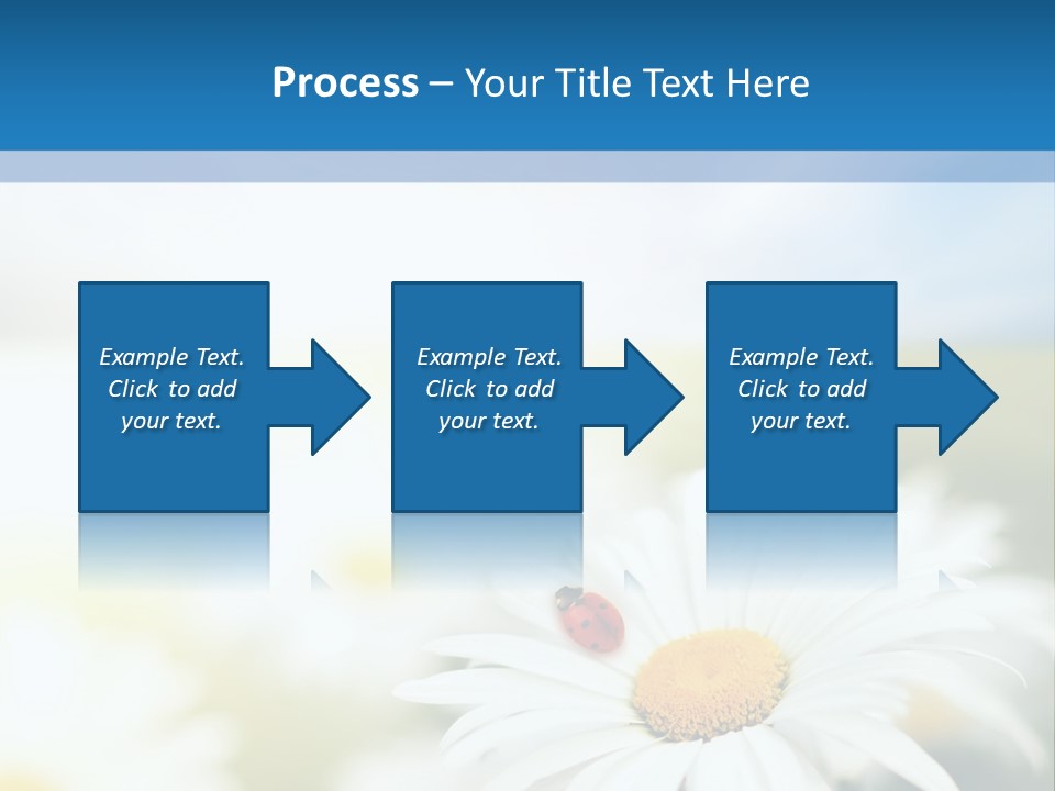 Daisy Field PowerPoint Template