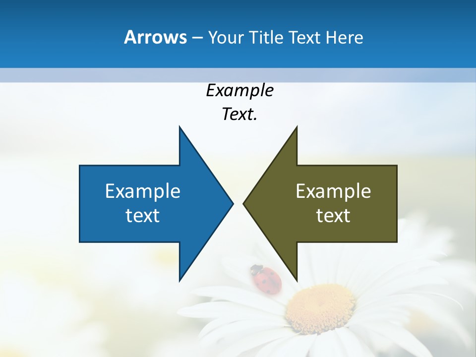 Daisy Field PowerPoint Template