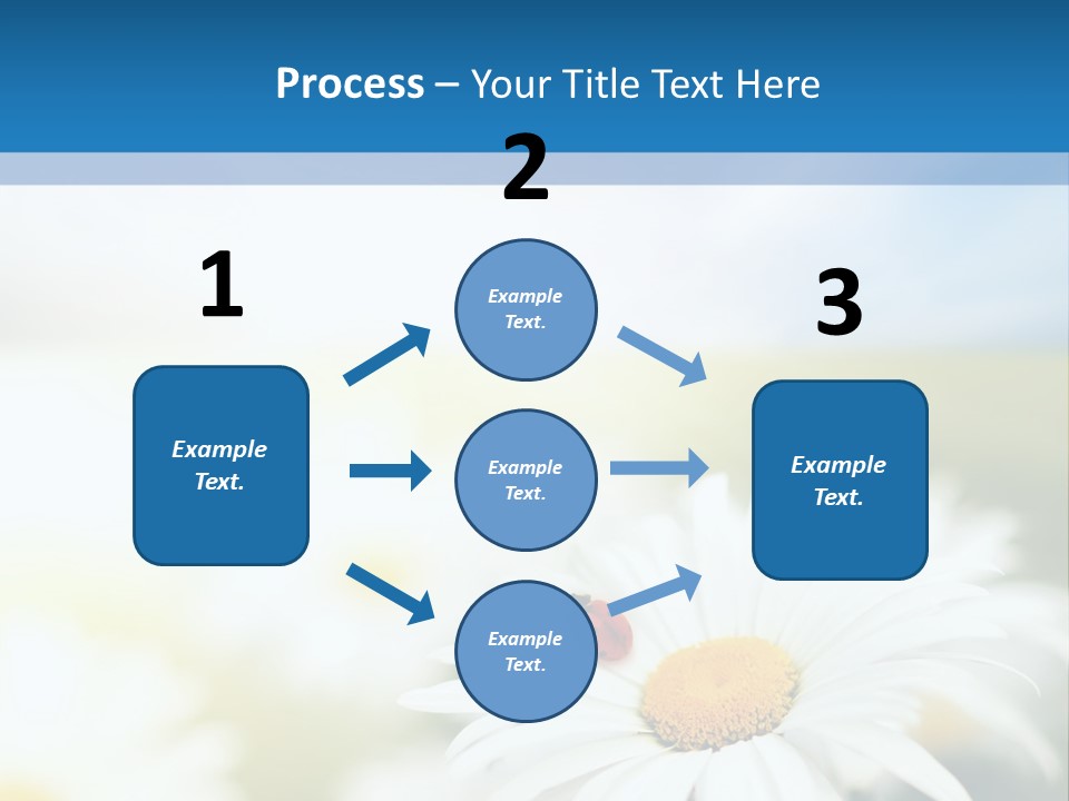 Daisy Field PowerPoint Template
