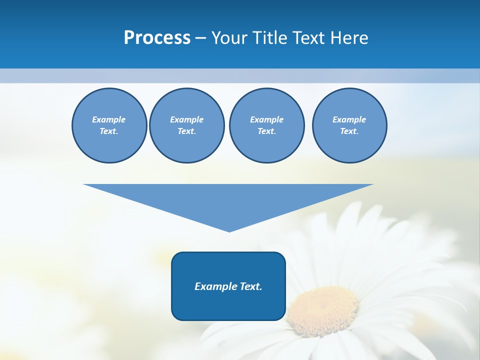 Daisy Field PowerPoint Template