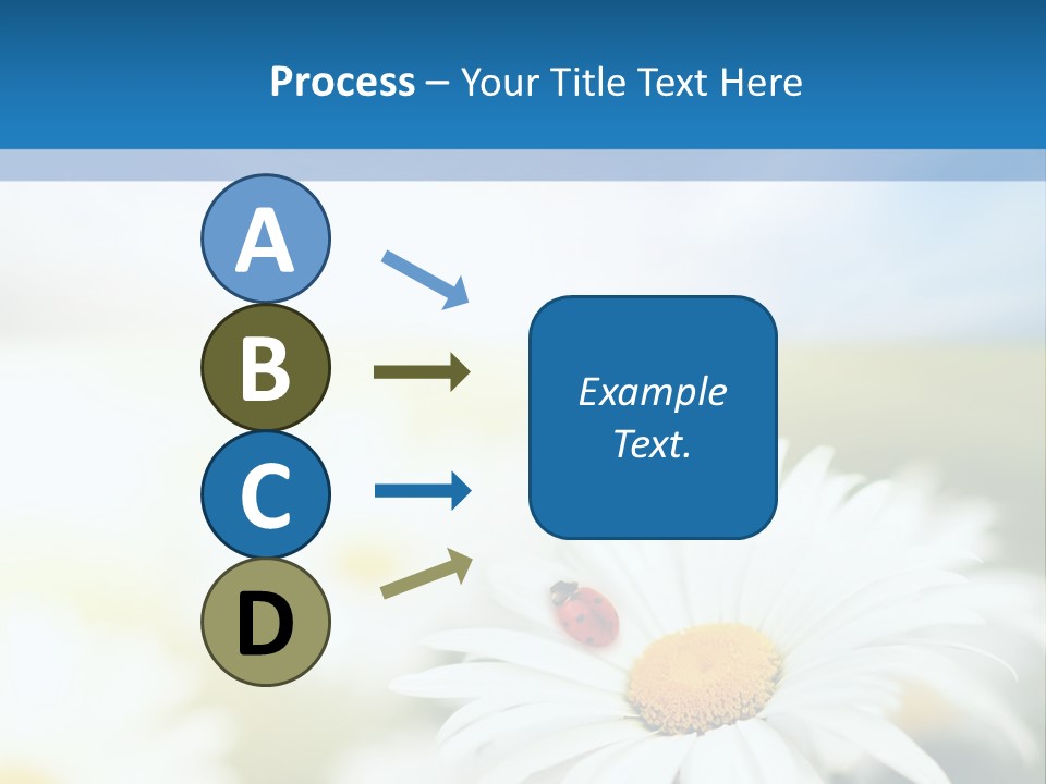 Daisy Field PowerPoint Template