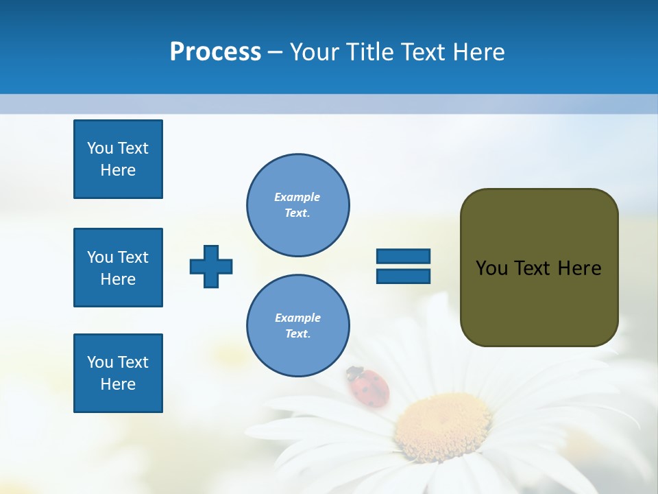 Daisy Field PowerPoint Template