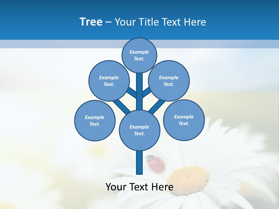 Daisy Field PowerPoint Template