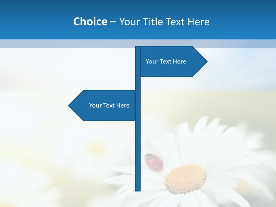 Daisy Field PowerPoint Template