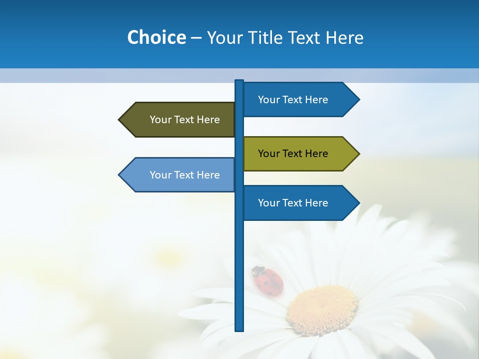 Daisy Field PowerPoint Template