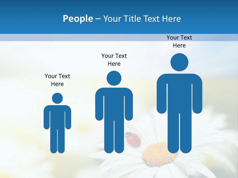 Daisy Field PowerPoint Template
